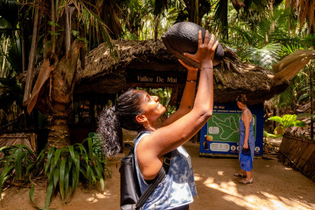 Vallee de Mai & Anse Lazio Bus Tour - from Praslin