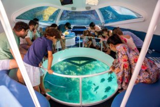 Glass Bottom Boat Tour - Mahe, Baie Ternay