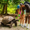 7- Visitors feeding tortoise