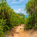 Anse Badamier Nature trail