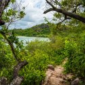 Anse Badamier Nature trail