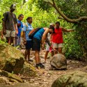 Tortoise on trail