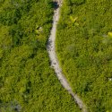 Anse Badamier Nature trail